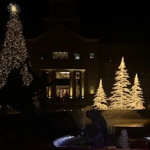 BananaPurin 🍌🍮